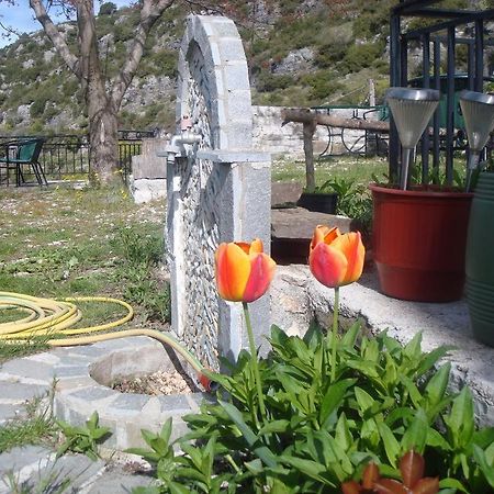 Terpsichori Guesthouse Kepésovon المظهر الخارجي الصورة